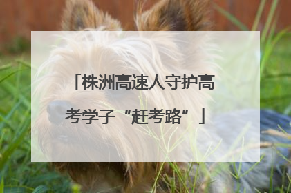 株洲高速人守护高考学子“赶考路”