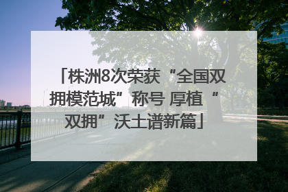 株洲8次荣获“全国双拥模范城”称号 厚植“双拥”沃土谱新篇