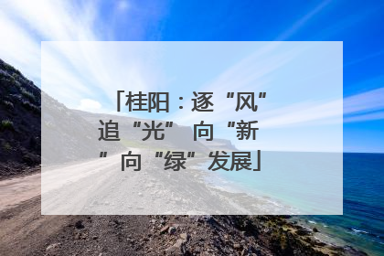 桂阳：逐“风”追“光” 向“新”向“绿”发展