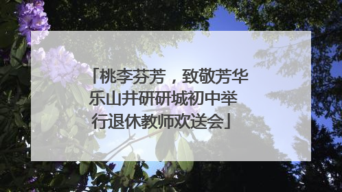 桃李芬芳，致敬芳华 乐山井研研城初中举行退休教师欢送会