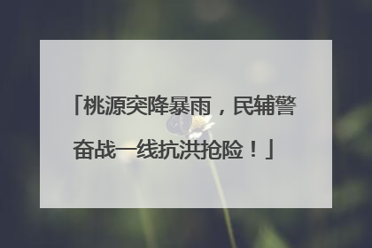 桃源突降暴雨，民辅警奋战一线抗洪抢险！