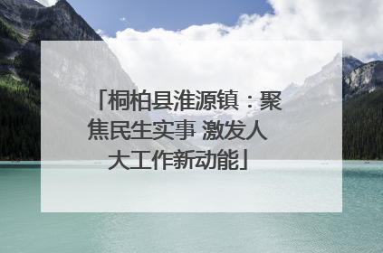 桐柏县淮源镇：聚焦民生实事 激发人大工作新动能