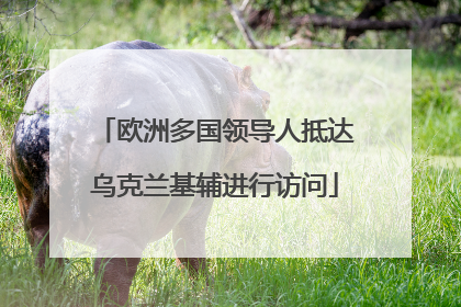 欧洲多国领导人抵达乌克兰基辅进行访问