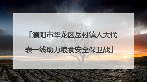 濮阳市华龙区岳村镇人大代表一线助力粮食安全保卫战