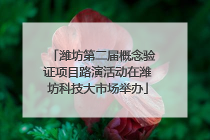 潍坊第二届概念验证项目路演活动在潍坊科技大市场举办