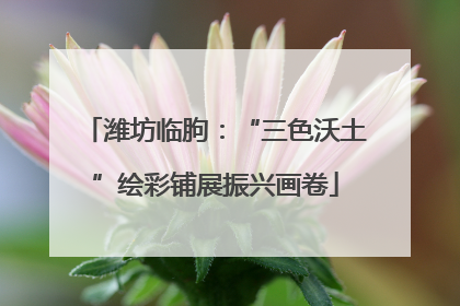 潍坊临朐：“三色沃土”绘彩铺展振兴画卷