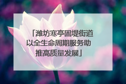潍坊寒亭固堤街道以全生命周期服务助推高质量发展