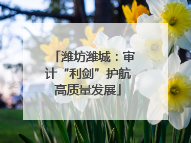 潍坊潍城：审计“利剑”护航高质量发展