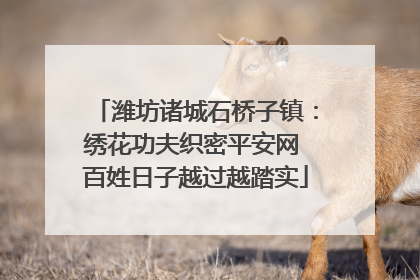 潍坊诸城石桥子镇：绣花功夫织密平安网 百姓日子越过越踏实
