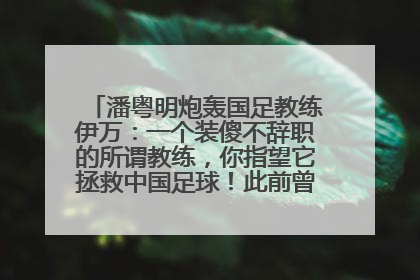 潘粤明炮轰国足教练伊万：一个装傻不辞职的所谓教练，你指望它拯救中国足球！此前曾多次发文评价国足