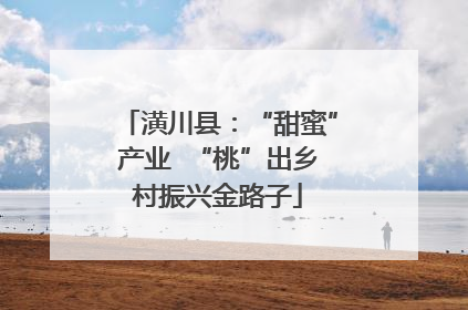 潢川县：“甜蜜”产业  “桃”出乡村振兴金路子