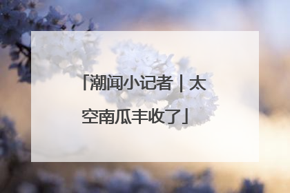 潮闻小记者｜太空南瓜丰收了