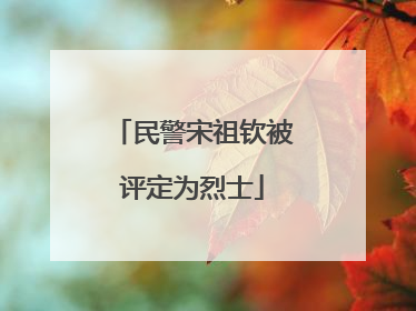 民警宋祖钦被评定为烈士