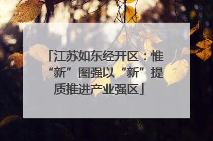 江苏如东经开区：惟“新”图强以“新”提质推进产业强区