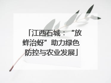 江西石城：“放蜂治蚜”助力绿色防控与农业发展