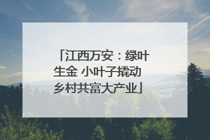 江西万安：绿叶生金 小叶子撬动乡村共富大产业