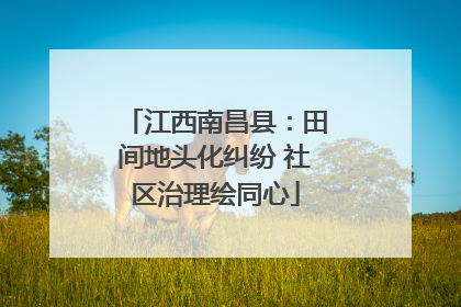 江西南昌县：田间地头化纠纷 社区治理绘同心