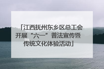 江西抚州东乡区总工会开展“六一”普法宣传暨传统文化体验活动