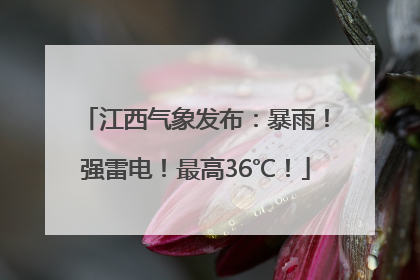 江西气象发布：暴雨！强雷电！最高36℃！