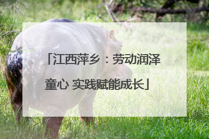 江西萍乡：劳动润泽童心 实践赋能成长