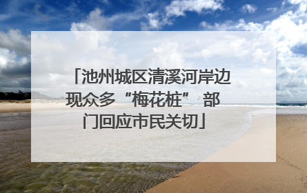 池州城区清溪河岸边现众多“梅花桩” 部门回应市民关切