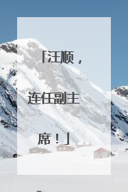 汪顺，连任副主席！