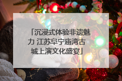 沉浸式体验非遗魅力 江苏阜宁庙湾古城上演文化盛宴