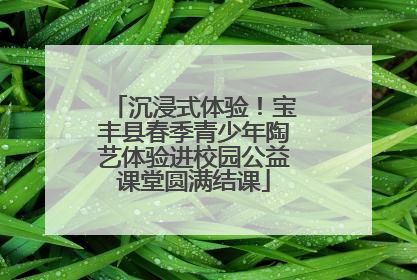 沉浸式体验！宝丰县春季青少年陶艺体验进校园公益课堂圆满结课