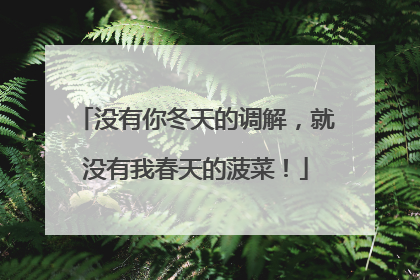 没有你冬天的调解，就没有我春天的菠菜！
