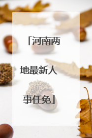 河南两地最新人事任免