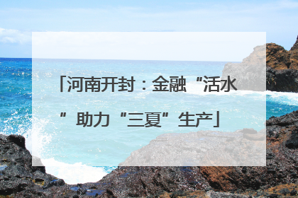河南开封：金融“活水”助力“三夏”生产