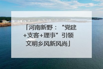 河南新野：“党建+支客+理事”引领文明乡风新风尚