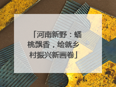 河南新野：蟠桃飘香，绘就乡村振兴新画卷