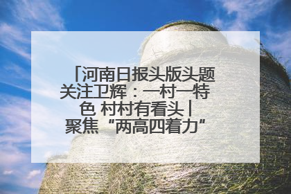 河南日报头版头题关注卫辉：一村一特色 村村有看头 ︳聚焦“两高四着力”·一“县”观察