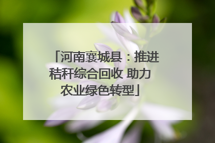 河南襄城县：推进秸秆综合回收 助力农业绿色转型