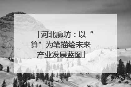 河北廊坊：以“算”为笔描绘未来产业发展蓝图