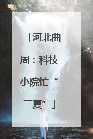 河北曲周：科技小院忙“三夏”
