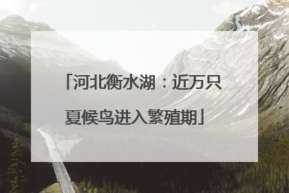 河北衡水湖：近万只夏候鸟进入繁殖期