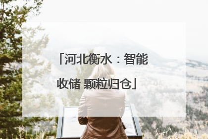河北衡水：智能收储 颗粒归仓