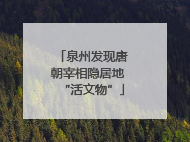 泉州发现唐朝宰相隐居地“活文物”