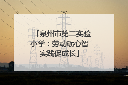 泉州市第二实验小学：劳动砺心智实践促成长