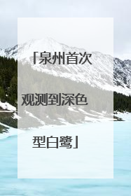 泉州首次观测到深色型白鹭