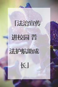 法治宣传进校园 普法护航助成长