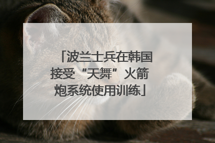 波兰士兵在韩国接受“天舞”火箭炮系统使用训练
