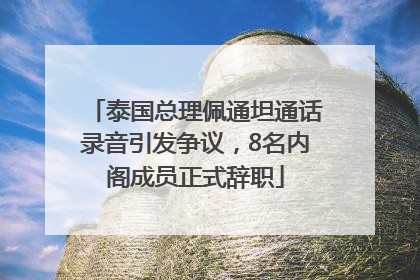 泰国总理佩通坦通话录音引发争议，8名内阁成员正式辞职