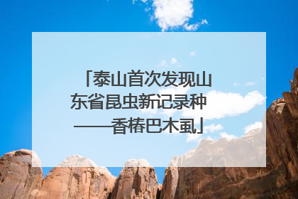 泰山首次发现山东省昆虫新记录种——香椿巴木虱