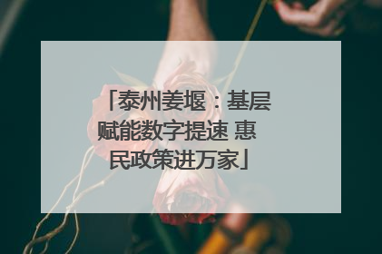 泰州姜堰：基层赋能数字提速 惠民政策进万家