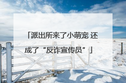 派出所来了小萌宠 还成了“反诈宣传员”