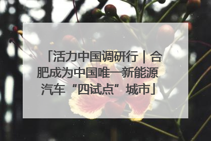 活力中国调研行｜合肥成为中国唯一新能源汽车“四试点”城市