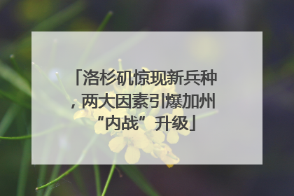 洛杉矶惊现新兵种，两大因素引爆加州“内战”升级